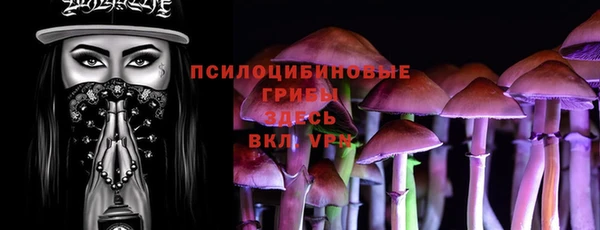 скорость Алзамай