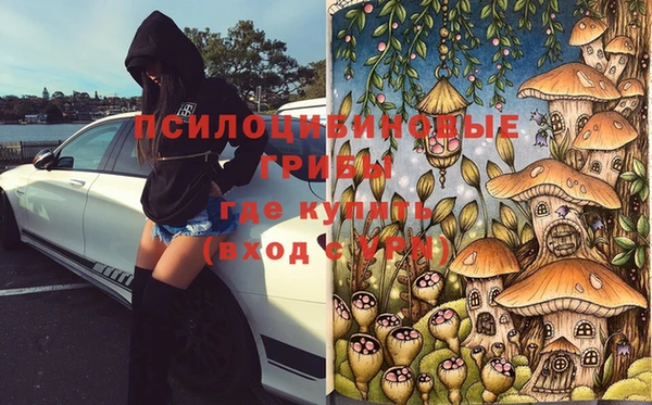 скорость Алзамай